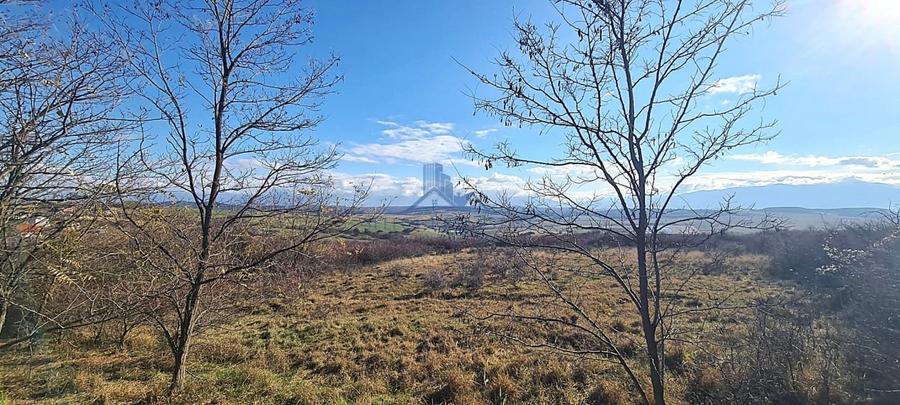 Teren agricol extravilan de 4821 mp, în Roșia