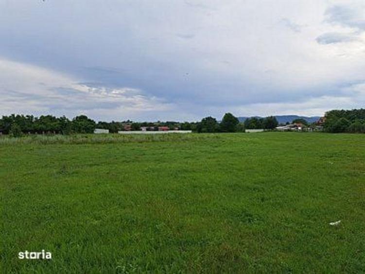 Teren de 17500 mp, în Central
