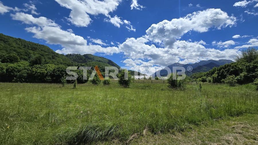 Teren Construcții extravilan de 5000 mp, în Glăjărie
