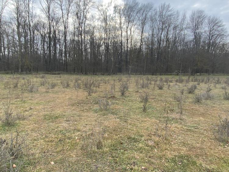 Teren agricol intravilan de 1900 mp, în Est