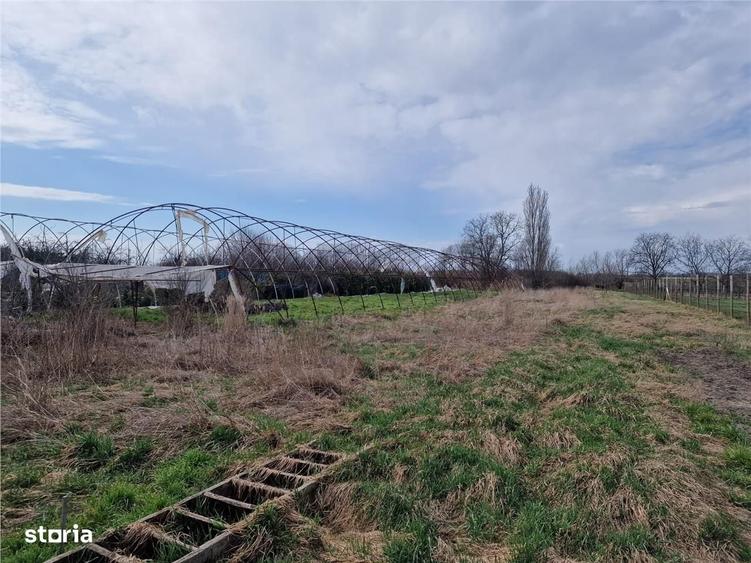 Casă cu 2 camere cu Teren 1114 Mp în Borș
