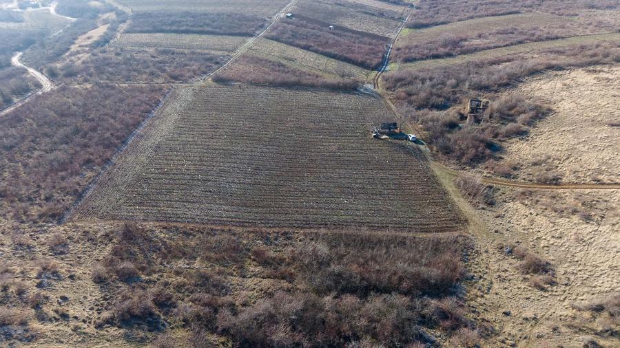 Teren agricol extravilan de 6800 mp, în Covăsinț