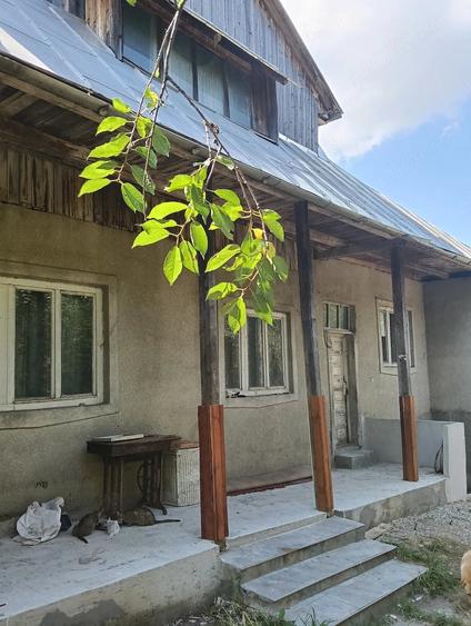 Teren de 15000 mp, în Herina
