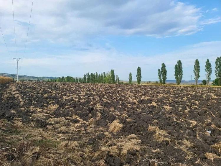 Teren de 25000 mp, în Comșești
