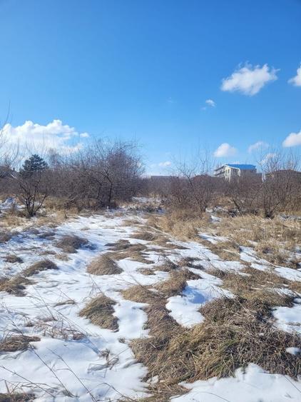 Teren Construcții intravilan de 5831 mp, în Nord