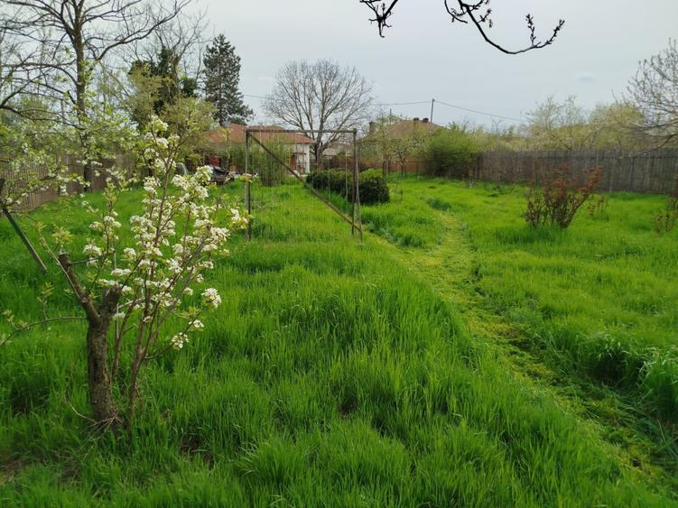 Casă individuală cu 5 camere cu Teren 1450 Mp în Goleasca
