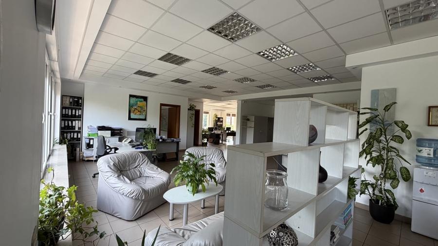 Apartament 237 mp  Barbu Văcărescu – Tei | Vedere Parcul Circului | Garaj - 4