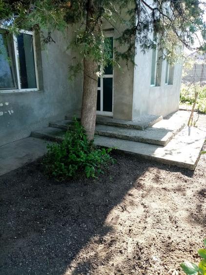 Casă cu 5 camere cu Teren 1717 Mp în Corabia