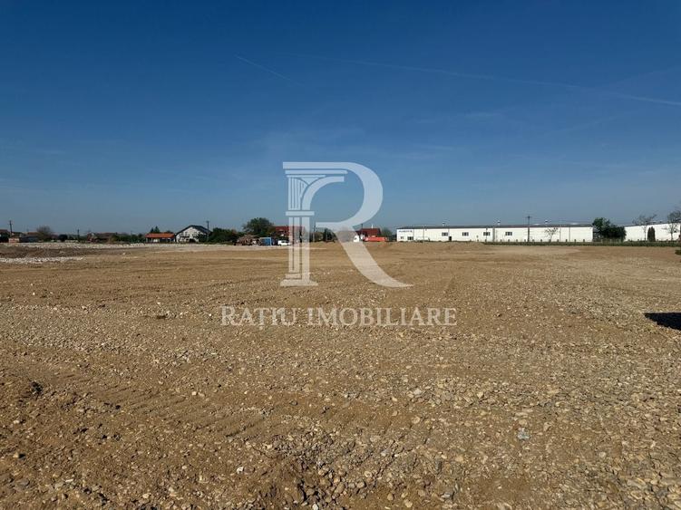 Teren Construcții intravilan de 10000 mp, în Sântion