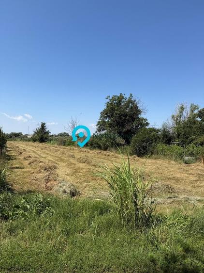 Teren Construcții intravilan de 4000 mp, în Comana