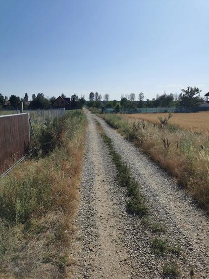 Teren Construcții intravilan de 1500 mp, în Ciolpani