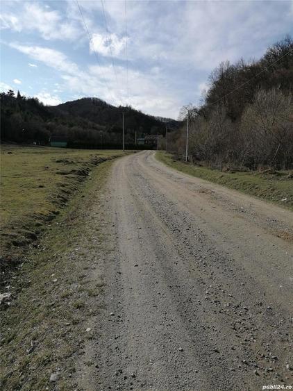 Teren de 3800 mp, în Crizbav
