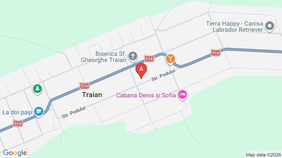 Casă individuală cu 3 camere cu Teren 2500 Mp în Traian