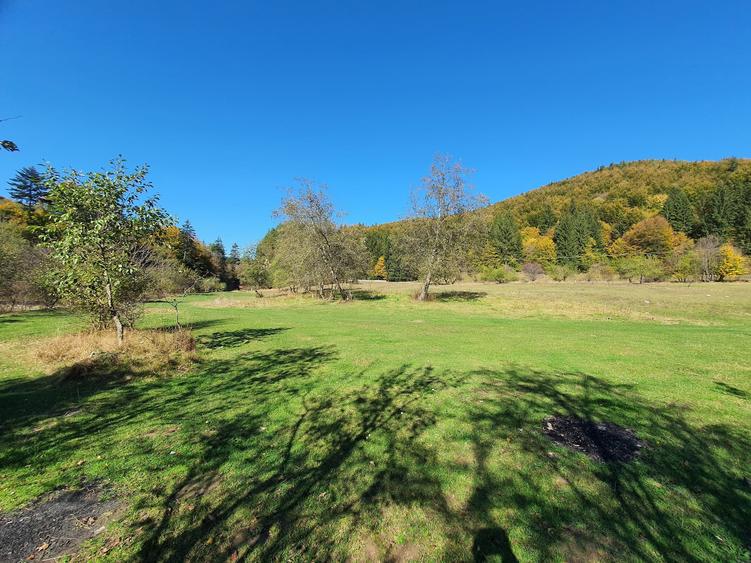 Teren agricol extravilan de 18800 mp, în Babarunca