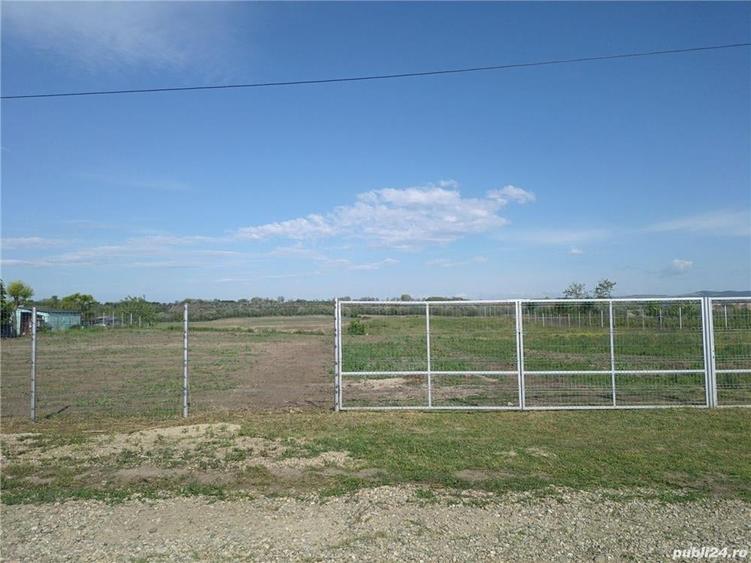 Teren de 4529 mp, în Potârnichești