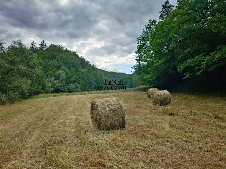 Teren de 5800 mp, în Podele