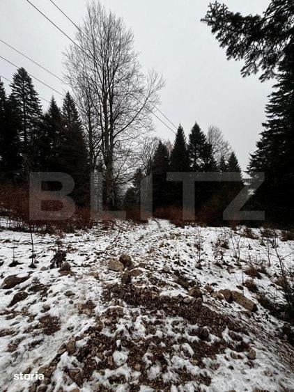 Teren de 4000 mp, în Sinaia
