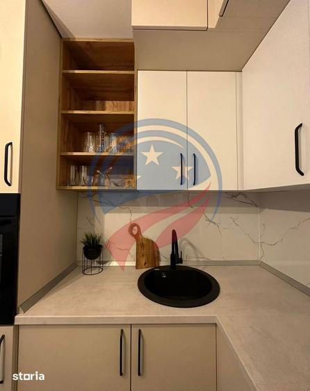 Apartament lux de inchiriat George Enescu - 5