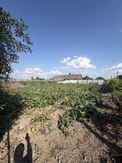 Casă cu 2 camere în Cheresig