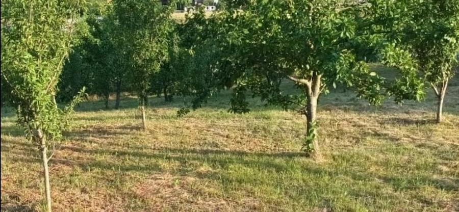 Teren de 1200 mp, în Central