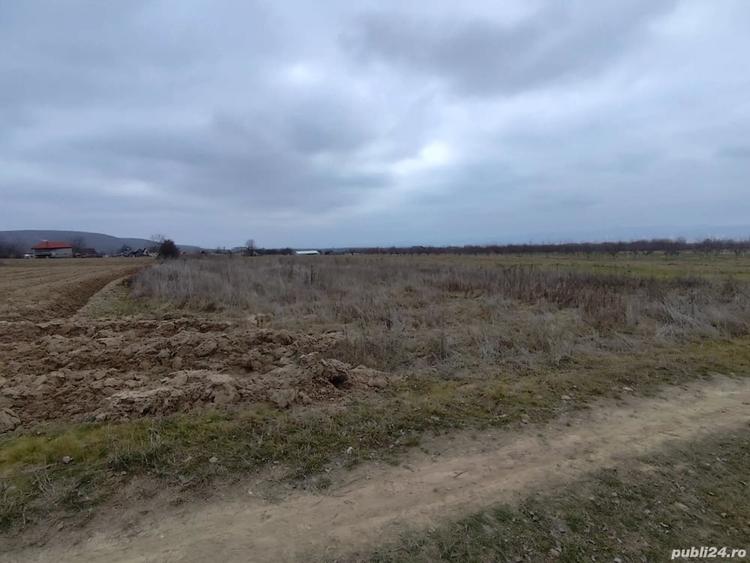 Teren de 2200 mp, în Budești