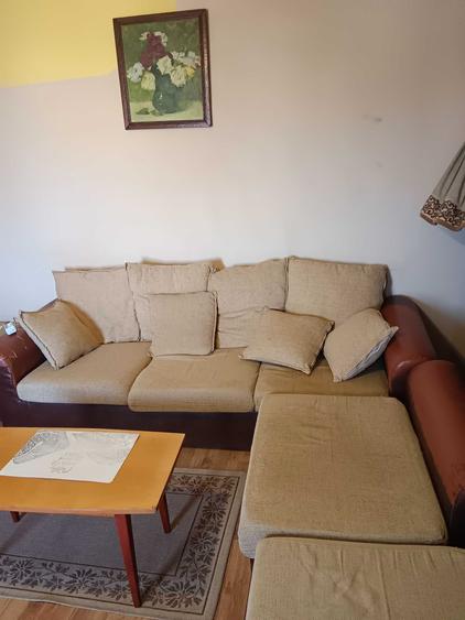 Apartament cu 3 camere decomandat în Lenauheim