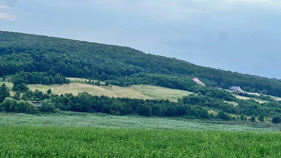Casă cu Teren 5000 Mp în Central