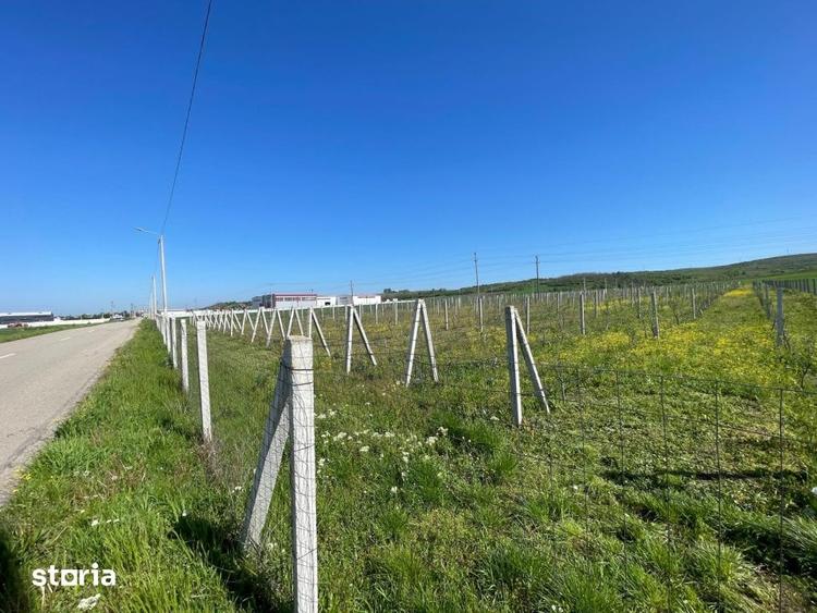 Teren de 6215 mp, în Brădești