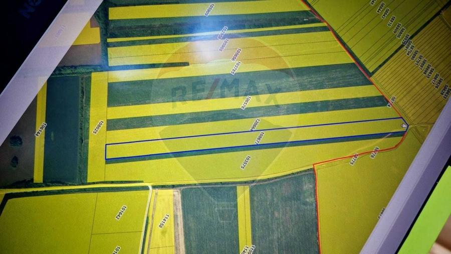 Teren agricol extravilan de 33750 mp, în Corbeanca