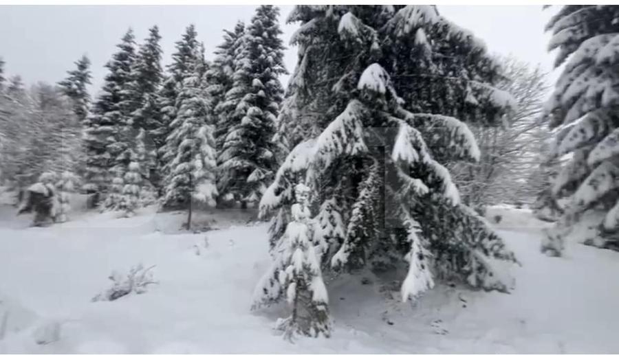 Teren Construcții intravilan de 1075 mp, în Colibița