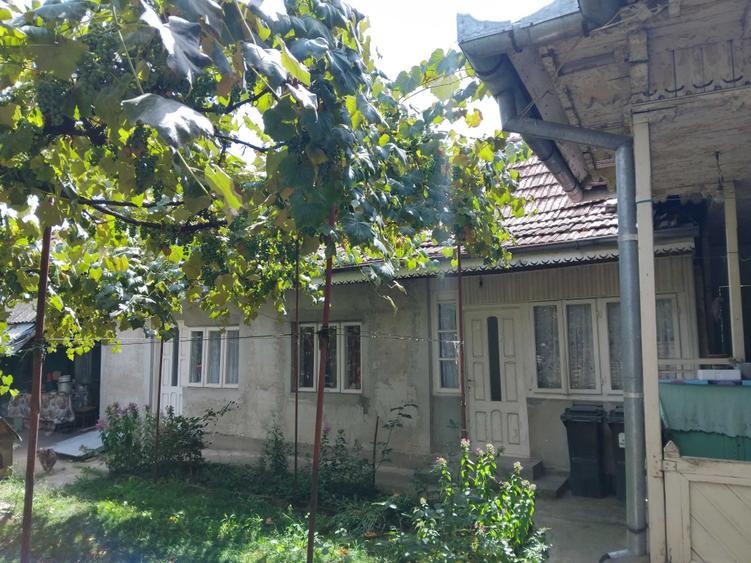 Teren de 550 mp, în Sărata