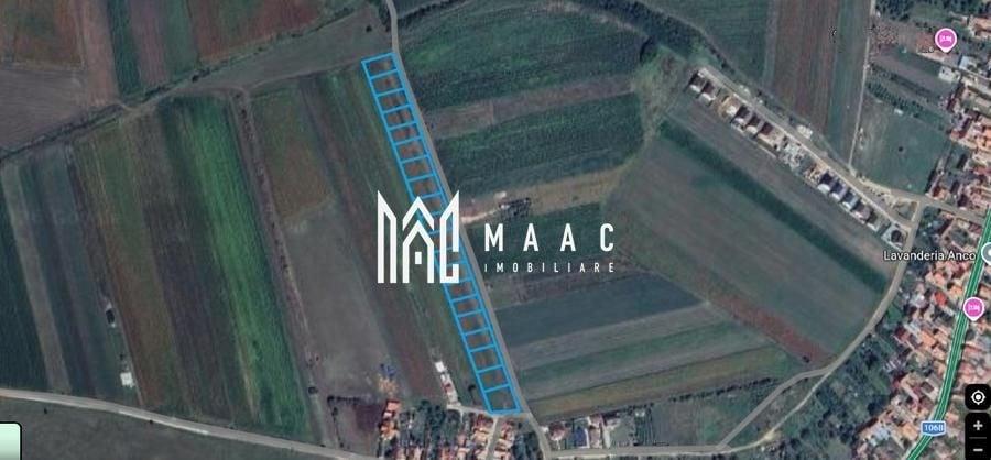 Teren Construcții intravilan de 8312 mp, în Șura Mică