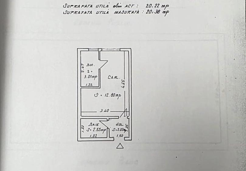badea cârțan-garsonieră - 1
