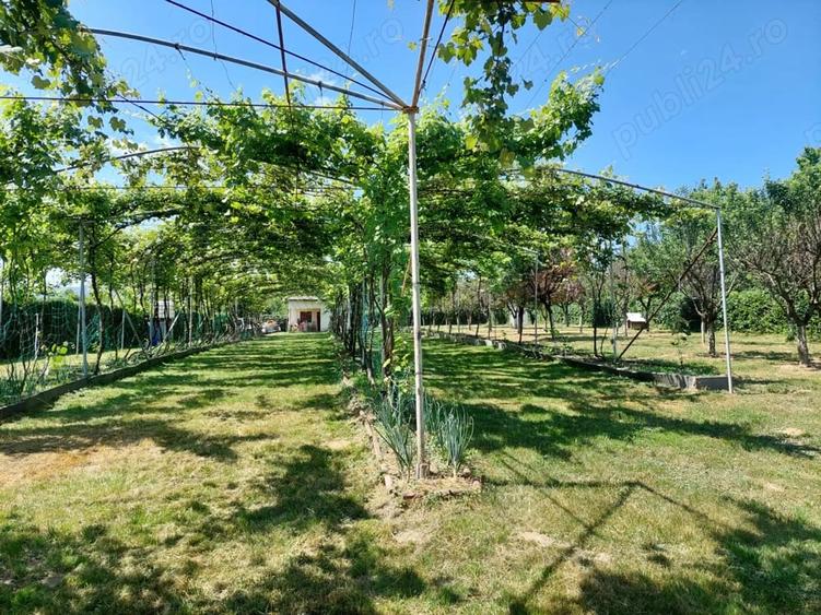 Teren de 2158 mp, în Central
