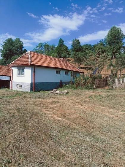 Casa ?i teren de vanzare Paro?eni Hunedoara - 2