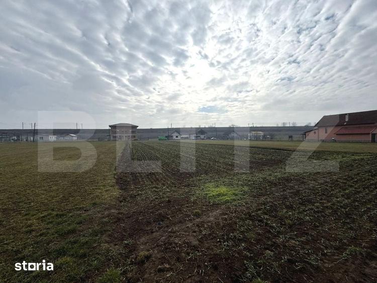 Teren de 1597 mp, în Vințu de Jos
