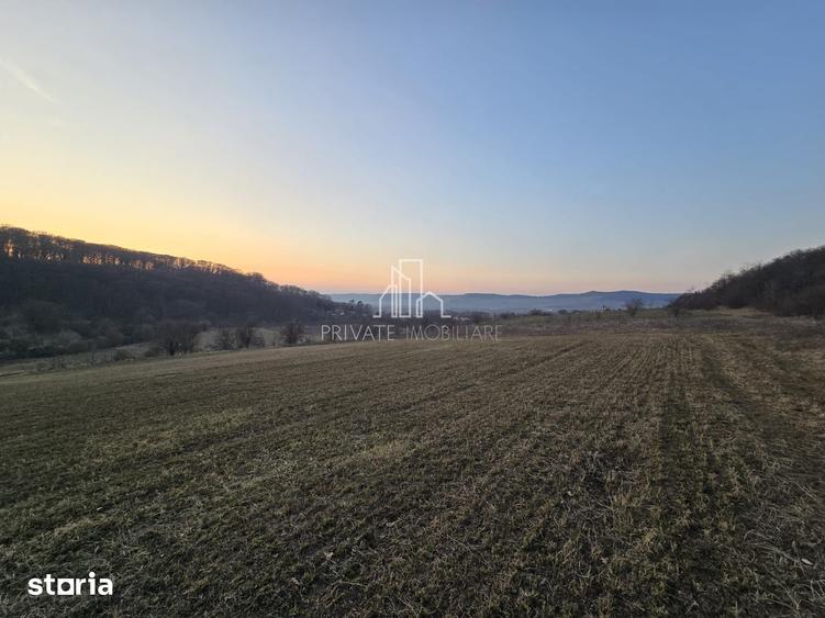 Teren de 28800 mp, în Sighișoara