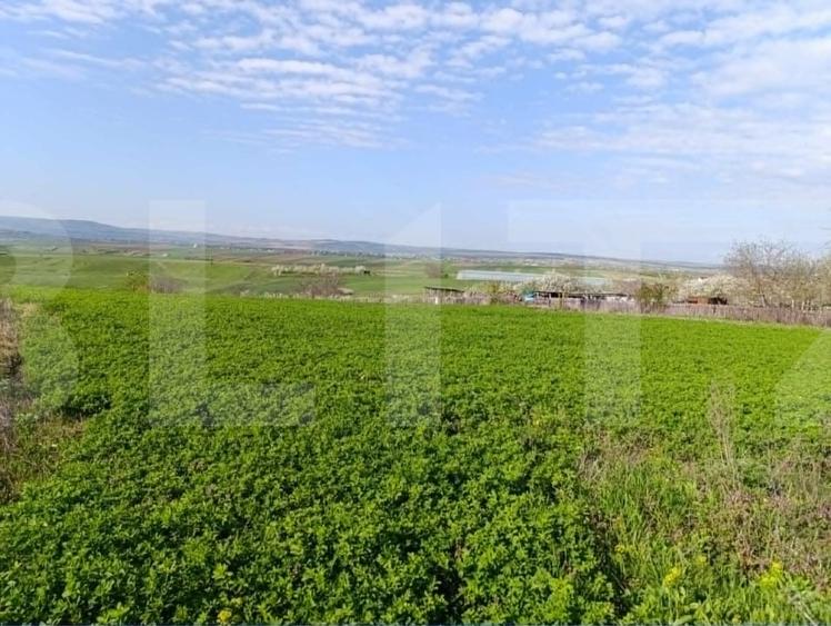 Teren agricol extravilan de 10189 mp, în Cristești