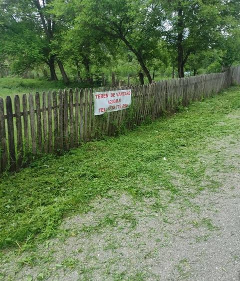 Teren de 4200 mp, în Central
