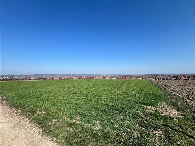 Teren extravilan de 5375 mp, în Cheriu