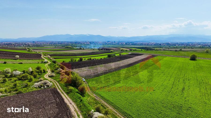 Teren de 3000 mp, în Gușterița