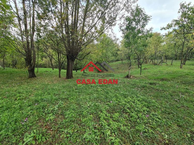 Teren Construcții intravilan de 5991 mp, în Șotrile