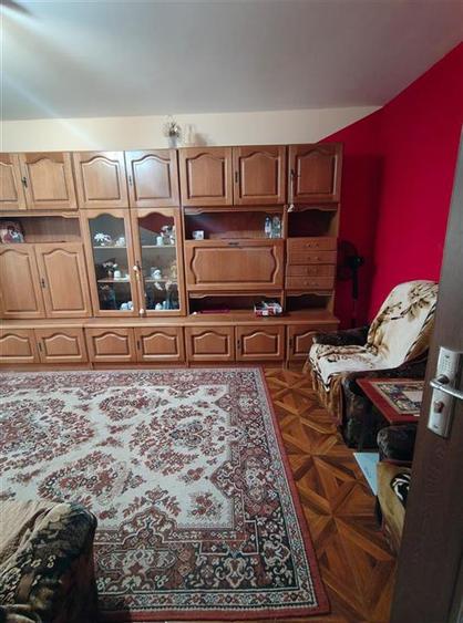 Garsonieră decomandată, mobilată în Alexandru cel Bun