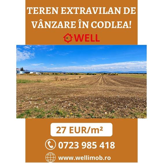 Teren extravilan de 10000 mp, în Est