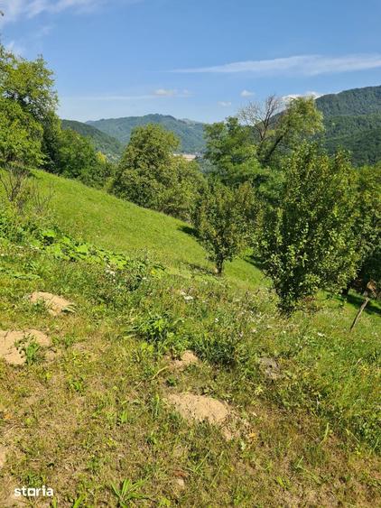 Teren de 10000 mp, în Șotrile