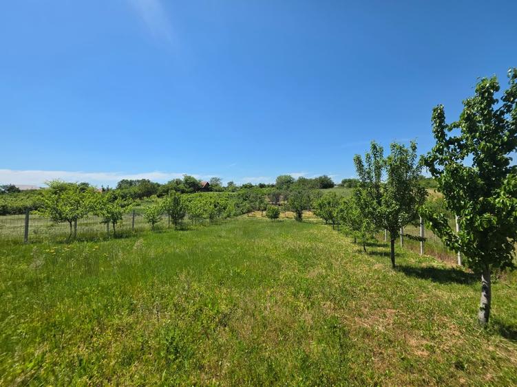 Teren Construcții intravilan de 1200 mp, în Varlaam