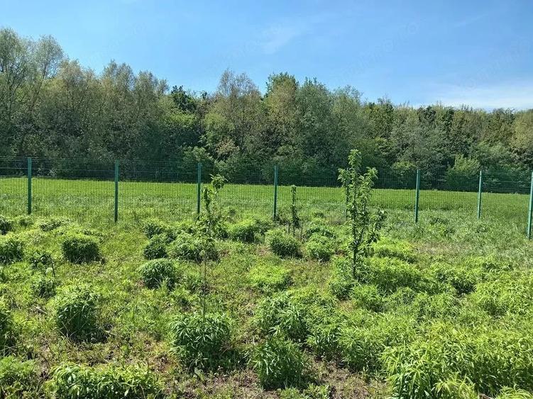Teren Intravilan 837 mp Stupini - 3