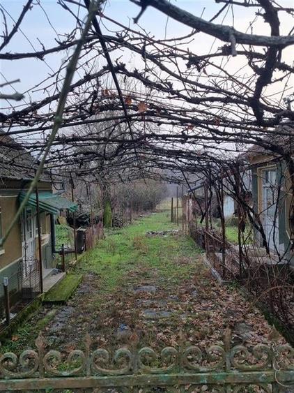 Casă individuală cu 4 camere cu Teren 3955 Mp în Tria