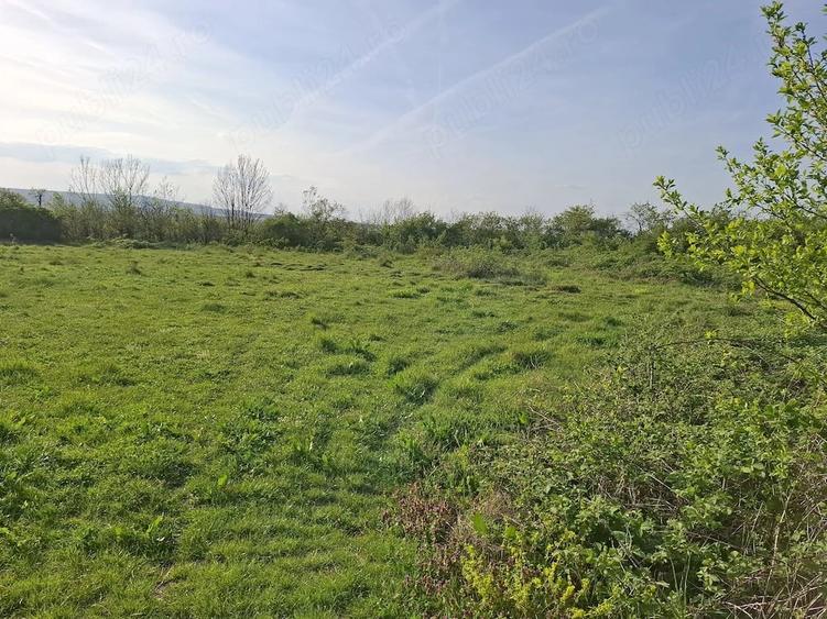 Teren de 2350 mp, în Sacoșu Mare
