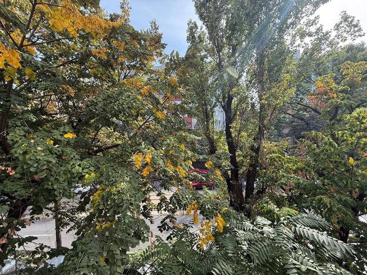 Apartament cu 3 camere decomandat, mobilat în Arcul de Triumf